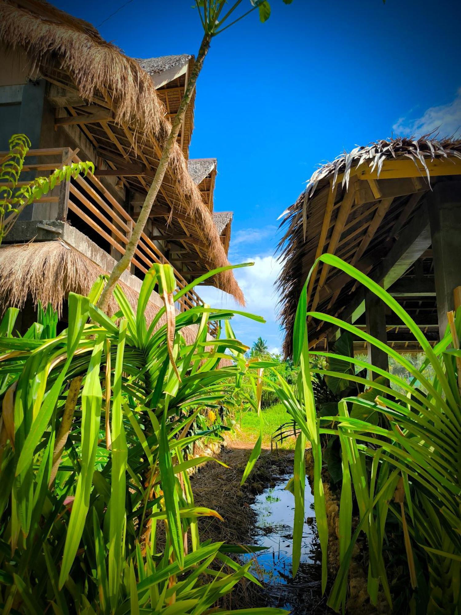 The Ohm Siargao Resort General Luna  Exteriör bild