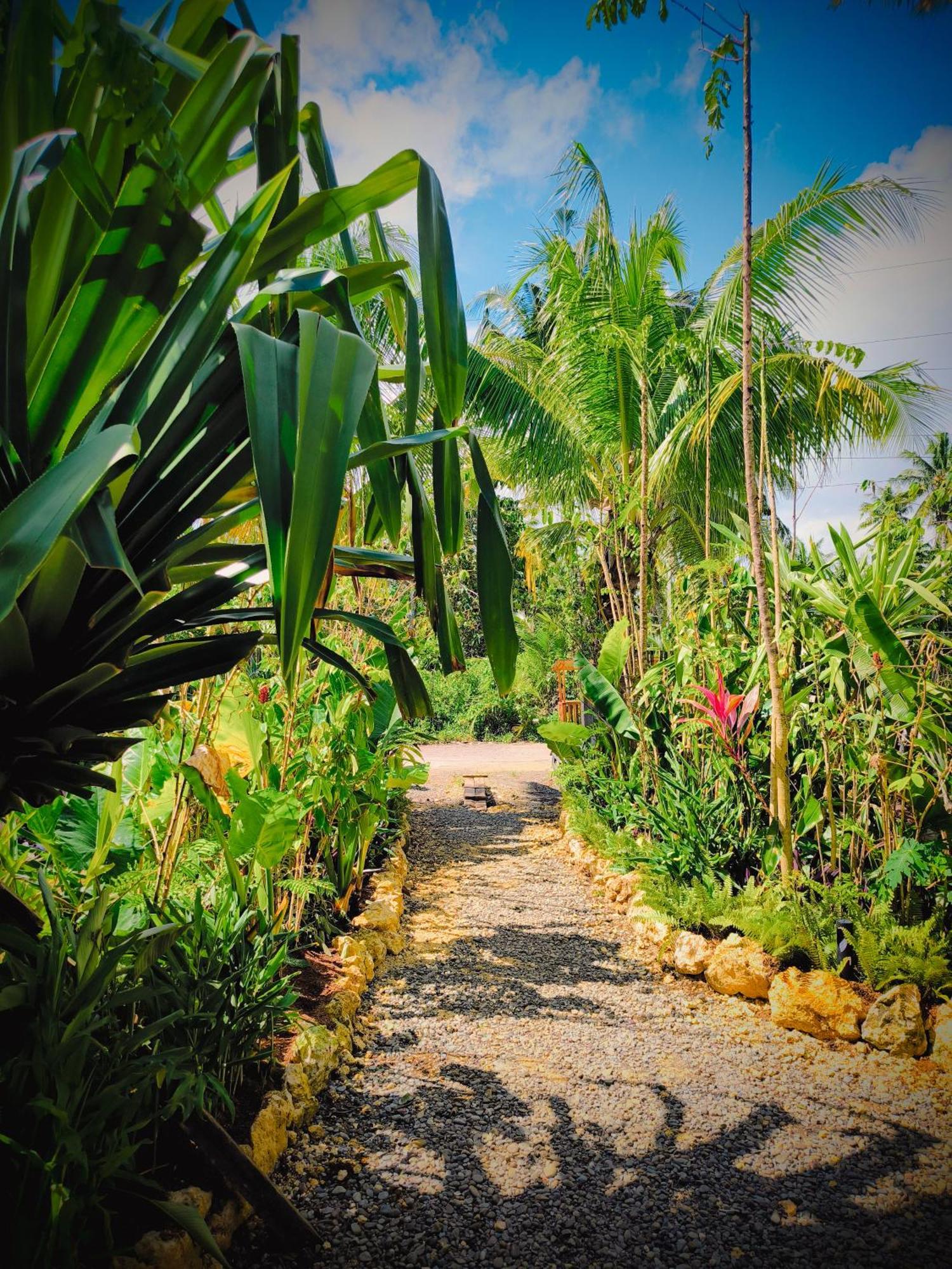 The Ohm Siargao Resort General Luna  Exteriör bild