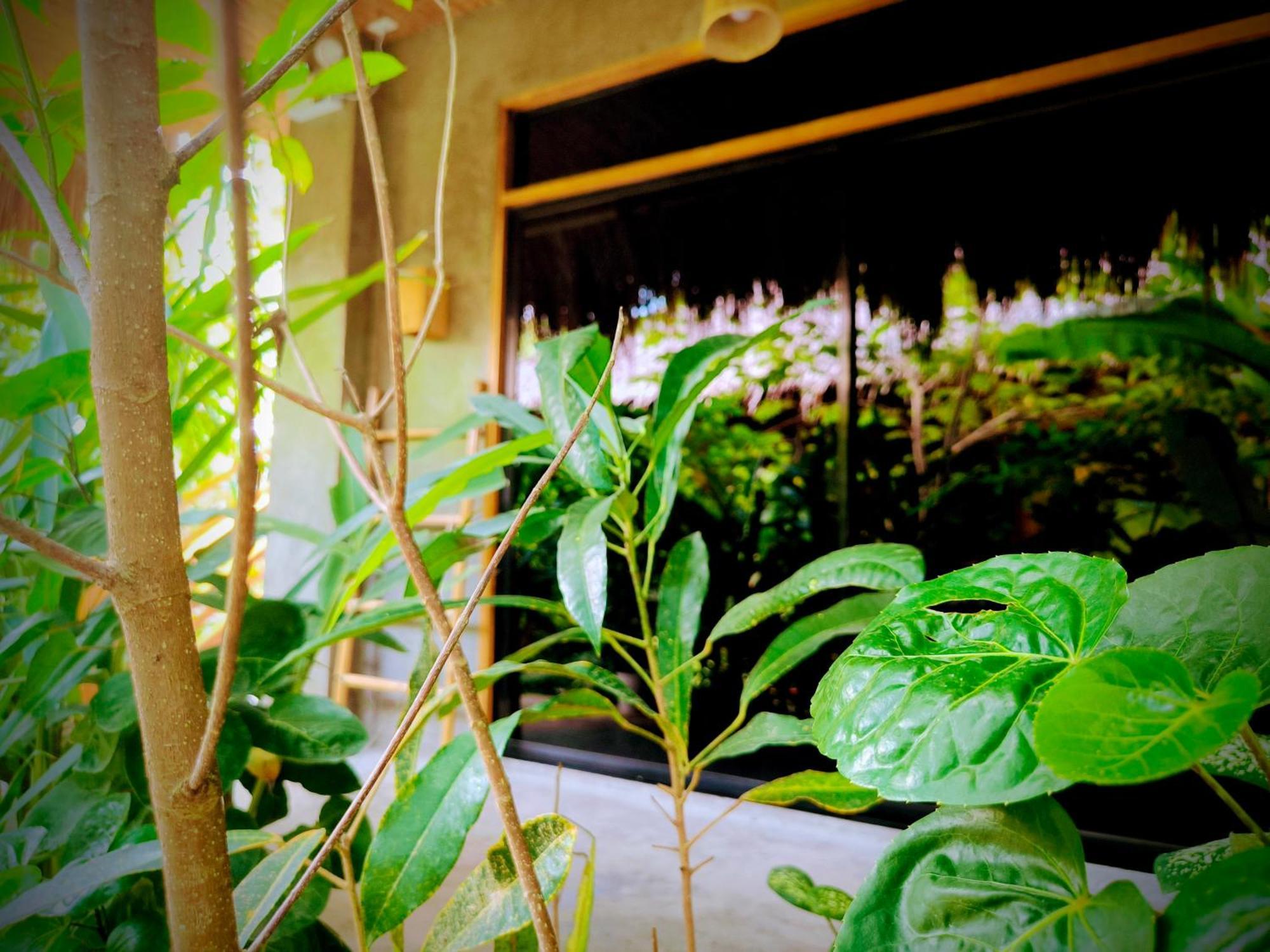 The Ohm Siargao Resort General Luna  Exteriör bild